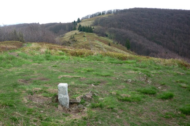 Nice views above the treeline