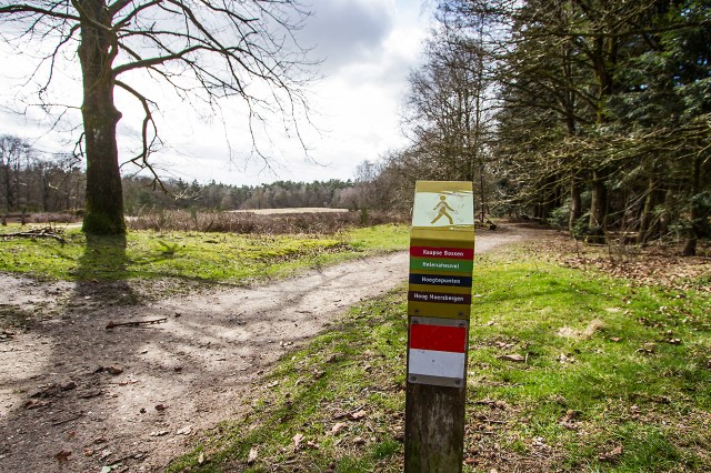 View from St. Helena hill