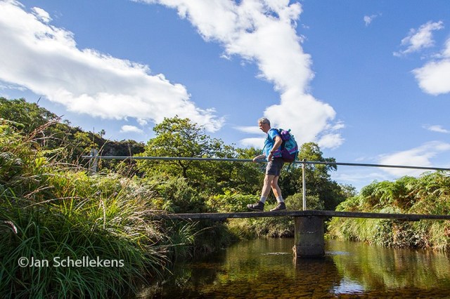 lovely Killarney National Park
