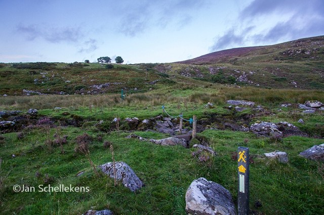 First section of the Duhallow Way
