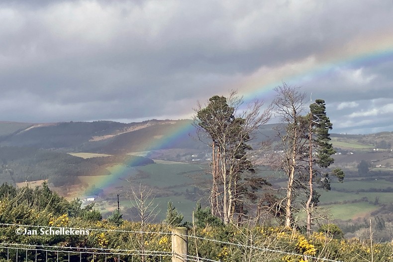 IMG_0322 Glendalough